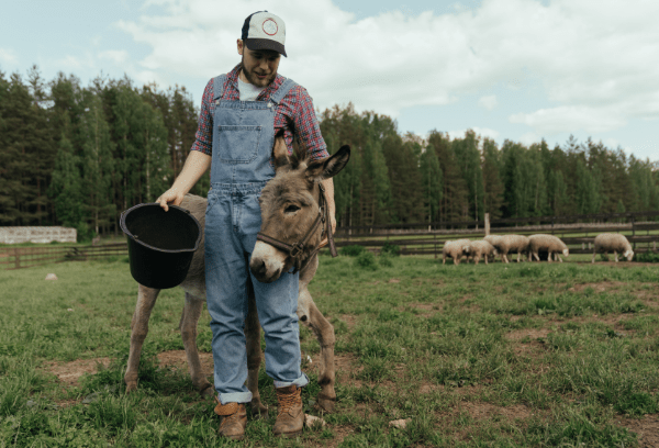 Diversify Your Farm