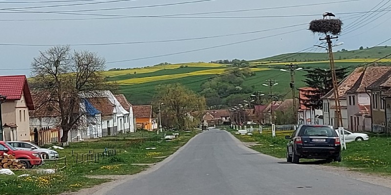 Delia's Village Carriage Tour in Bărcut