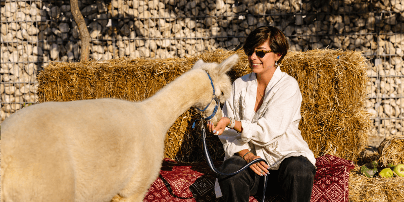 Lunch with Alpacas at The Tribe in Brăneşti
