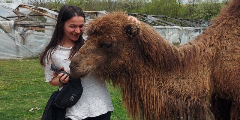 ZiaZian House Zoo Adventure in Bărcuț in Bekokten