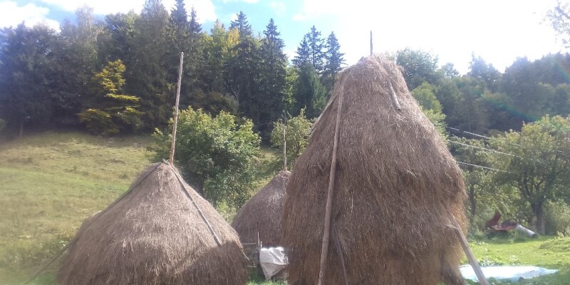 Discover how to make a toast! in Şirnea