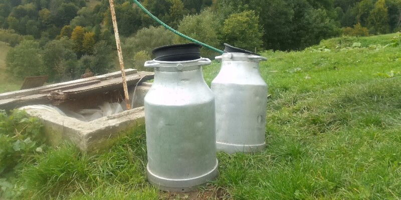 Make Your Own Feta-style Cheese! in Şirnea