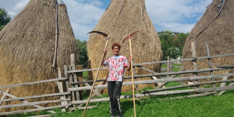 Traditional Haymaking in Măgura