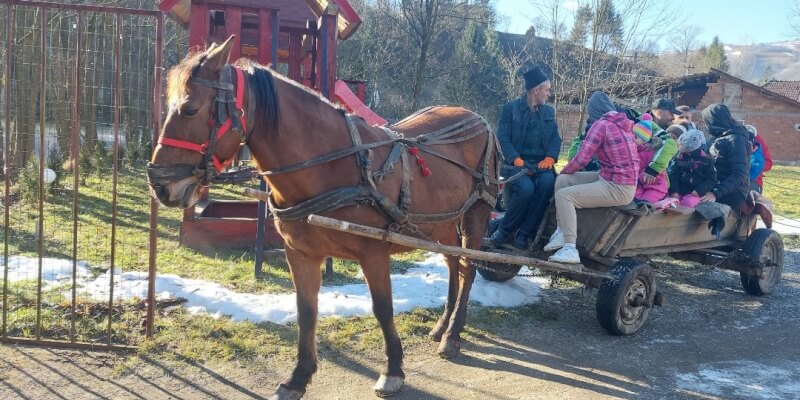 Horse-Drawn Wagon Rides in Paltin