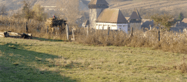 Churchcastle in Stejărişu in Stejărişu