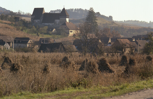 Fortified church Copsa mare in Copsa Mare