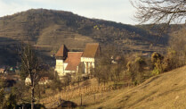 Fortified church Copsa mare in Copsa Mare