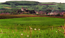 Fortified church in Movile in Movile