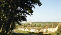 Fortified church Cincu in Cincu