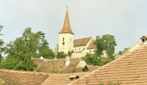 Fortified church Daia in Daia