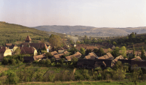 Fortified church Seleuș in Seleus