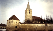 Fortified church Bruiu in Bruiu