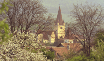 Fortified Church Cisnădie in Cisnădie