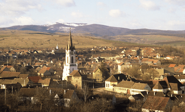 Castle Gârbova in Gârbova