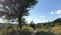 Churchfortresstrail in 