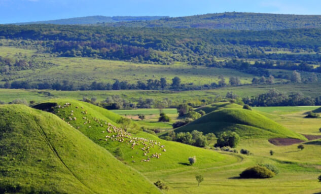 Movile Mounds in Movile
