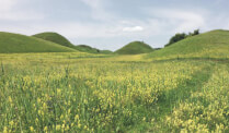 Movile Mounds in Movile