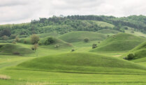 Movile Mounds in Movile