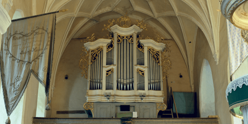 Die Orgel in Schönberg