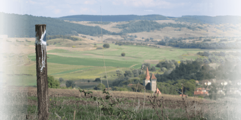 Eine Markierung auf dem Kirchenburgenwanderweg