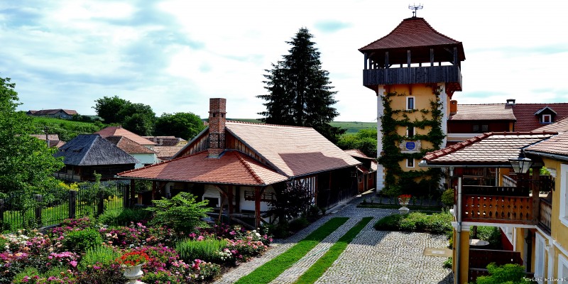 Flanderhof Manor Transylvania in Daia