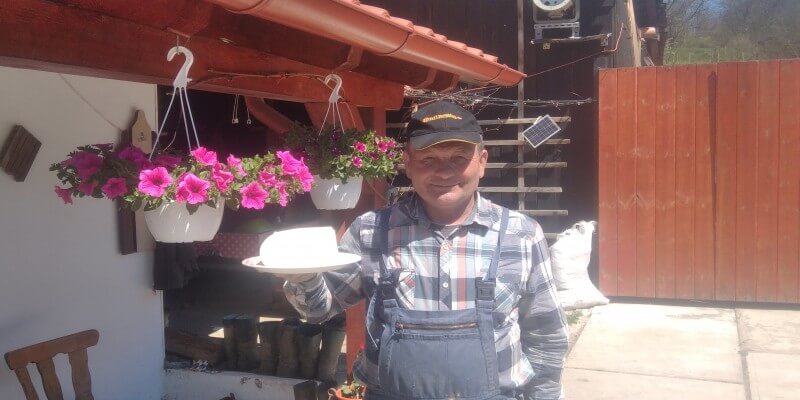 Buffalo Cheese in Stejărișu