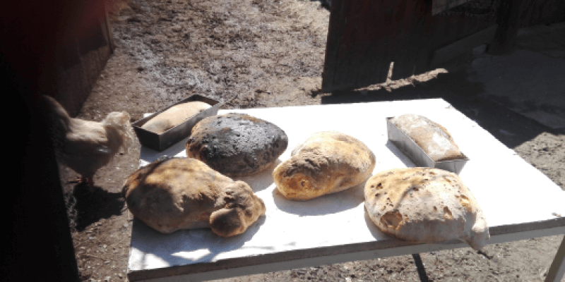 Home bread in Probstdorf