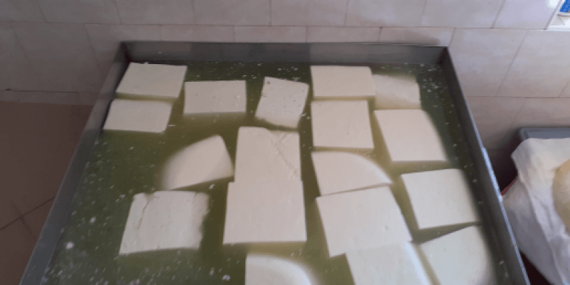 Sheep's milk telemea in Ruja