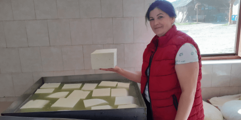 Sheep's milk telemea in Ruja