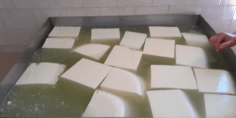 Sheep's milk telemea in Ruja