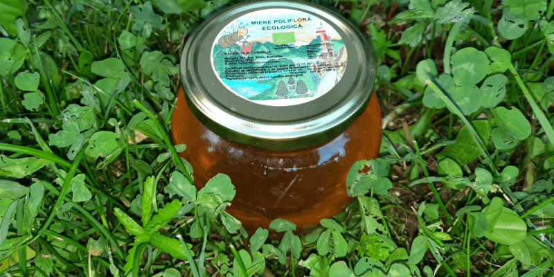 Polyflower honey in Şelimbăr