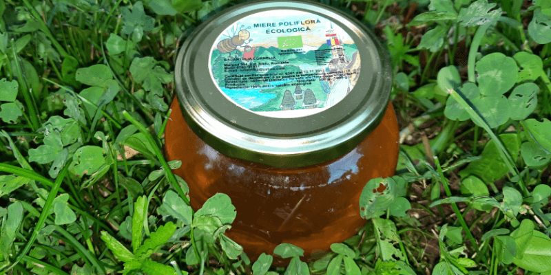 Agramonia Fresh Food Polyflower honey 