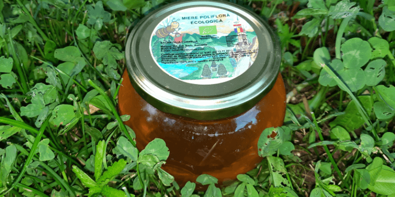 Polyflower honey in Şelimbăr