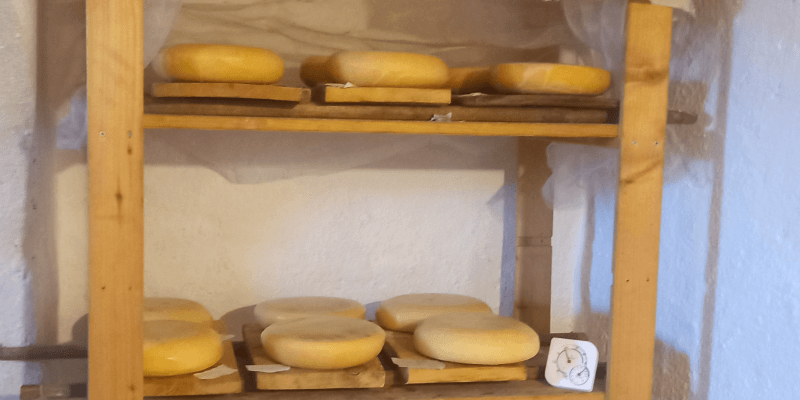 Homemade Goat cheese in Holzmengen