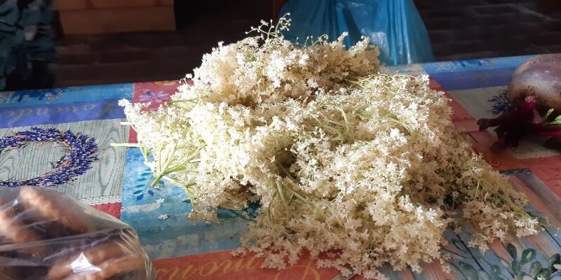 Elderflower syrup in Lovnic