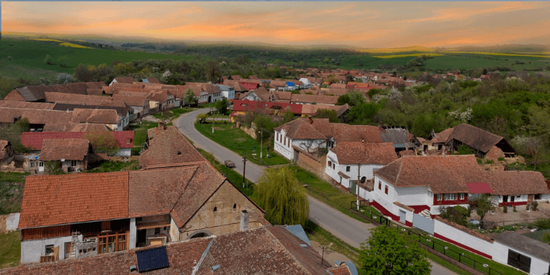 Barcut Bekokten