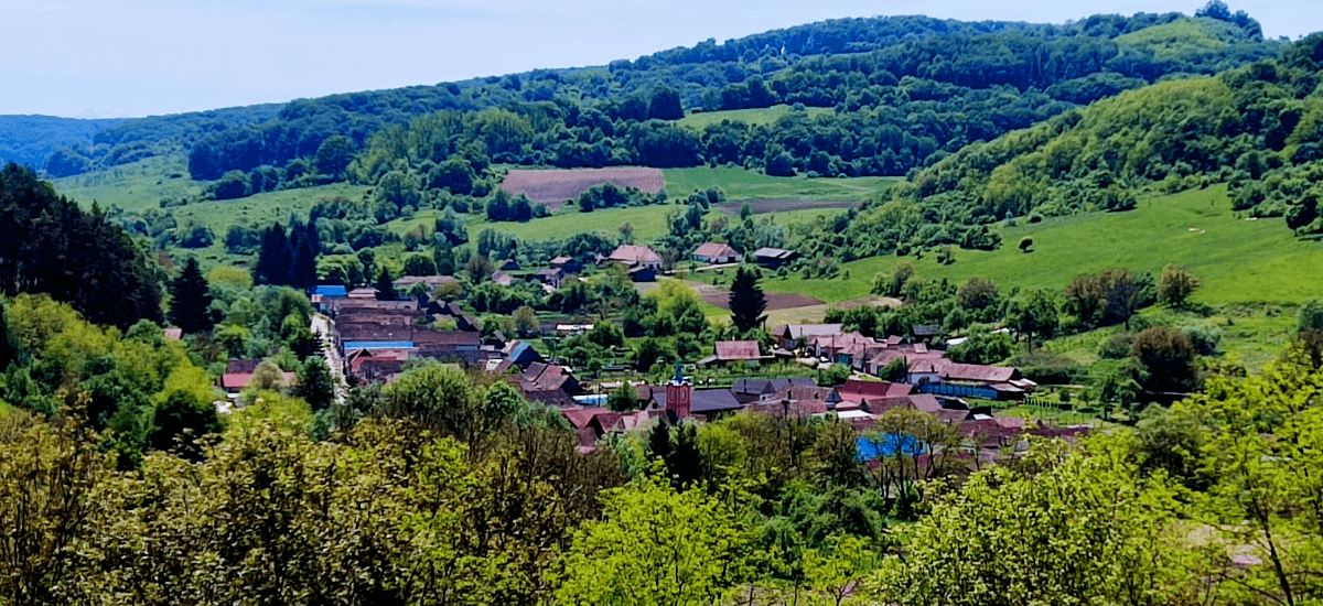 Nou Săsesc (Sighișoara)